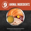 image:imageORIJEN Chunks amp Shreds Wet Cat Food Variety Pack Original  Duck amp Liver Recipes 3oz Cans 12 Count 6 of EachSalmon  Chicken Entre Chunks  Shreds