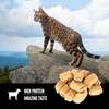 image:imageORIJEN Freeze Dried Cat Treats Grain Free High Protein Raw Animal Ingredients Original 125oz BagTundra Recipe