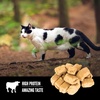image:imageORIJEN Freeze Dried Cat Treats Grain Free High Protein Raw Animal Ingredients Regional Red 125oz Bag125 Ounce Pack of 2