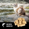 image:imageORIJEN Freeze Dried Cat Treats Grain Free High Protein Raw Animal Ingredients Six Fish 125oz Bag125 Ounce Pack of 2