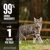 image:imageORIJEN Freeze Dried Cat Treats Grain Free High Protein Raw Animal Ingredients Six Fish 125oz Bag125 Ounce Pack of 2