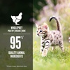 image:imageORIJEN Premium Pate Wet Kitten Cat Food in Bone Broth Chicken amp Salmon Entre 3oz Cans 24 Count