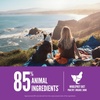 image:imageORIJEN Grain Free High Protein Dry Dog Food Puppy Large Recipe 13lb BagPuppy Large Recipe