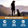 image:imageORIJEN Amazing Grains High Protein Dry Dog Food Original Recipe 4lb BagAmazing Grains Original Recipe