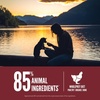 image:imageORIJEN Grain Free High Protein Dry Dog Food Small Breed Recipe 10lb BagSmall Breed Dog Recipe