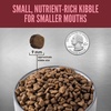 image:imageORIJEN Grain Free High Protein Dry Dog Food Small Breed Recipe 10lb BagSmall Breed Dog Recipe