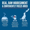 image:imageORIJEN Grain Free High Protein Freeze Dried Dog Food amp Topper Original Recipe 16oz BagOriginal Recipe Morsels
