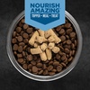 image:imageORIJEN Grain Free High Protein Freeze Dried Dog Food amp Topper Original Recipe 16oz BagOriginal Recipe Morsels