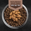 image:imageORIJEN Grain Free High Protein Freeze Dried Dog Food amp Topper Original Recipe 16oz BagRegional Red Recipe Morsels