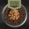 image:imageORIJEN Grain Free High Protein Freeze Dried Dog Food amp Topper Original Recipe 16oz BagTundra Recipe Morsels