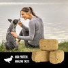 image:imageORIJEN Grain Free High Protein Freeze Dried Dog Treats Free Run Duck Recipe 325oz Bag