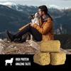 image:imageORIJEN Grain Free High Protein Freeze Dried Dog Treats RanchRaised Beef Recipe 325oz BagGrassFed Lamb Recipe