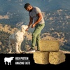 image:imageORIJEN Grain Free High Protein Freeze Dried Dog Treats RanchRaised Beef Recipe 325oz BagOriginal Recipe