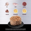 image:imageORIJEN Premium Pate Wet Cat Food Variety Pack Original  Duck amp Chicken Recipes 3oz Cans 12 Count 6 of EachDuck  Chicken