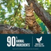 image:imageORIJEN Guardian 8 Grain Free High Protein Premium Dry Cat Food 10lb BagGuardian 8 Recipe