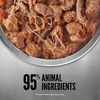 image:imageORIJEN Real Meat Shreds Wet Dog Food Beef Stew Recipe 128oz Cans 12 Count