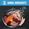 image:imageORIJEN Wild Reserve Dry Dog Food FreeRun Chicken amp Grains Recipe 4lb BagFreeRun Chicken Recipe