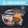 image:imageORIJEN Wild Reserve Dry Dog Food FreeRun Chicken amp Grains Recipe 4lb BagWildCaught Fish Recipe
