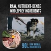 image:imageORIJEN Epic Bites FreezeDried Dog Food amp Treat Bundle  Original Recipe 6 oz Food  15 oz Treats