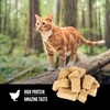 image:imageORIJEN Freeze Dried Cat Treats Original and OXO Good Grips Pet POP Container  11 Qt