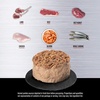image:imageORIJEN in Bone Broth Regional Red Entree Premium Pate Wet Cat Food 55 oz Case of 12