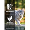 image:imageOrijen 2 Pack of Cat amp Kitten GrainFree Dry Food 4 Pounds Each Made in The USA